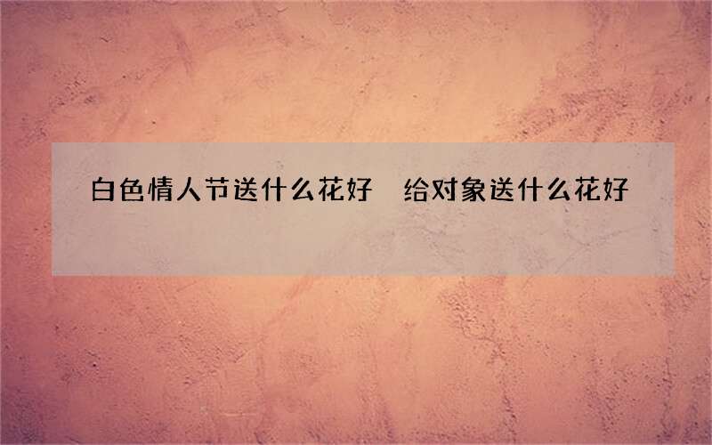 白色情人节送什么花好 给对象送什么花好